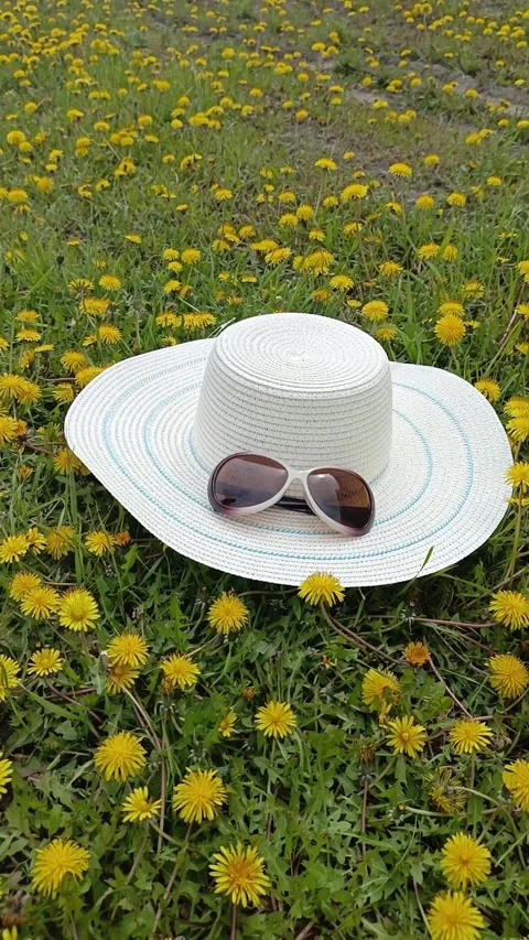 Hat and sunglasses on green grass and dandelions Stock Footage 334795150