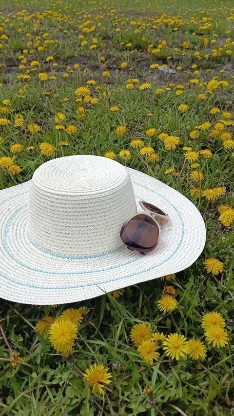 Hat and sunglasses on green grass and dandelions Stock Footage 334795181