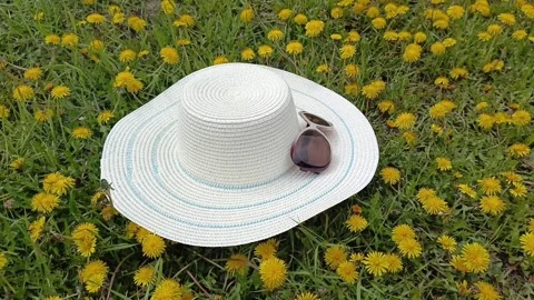 Hat and sunglasses on green grass and dandelions Stock-Footage 334795258