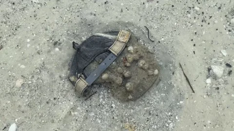 Hat Covered in Barnacles with Surf Washing over on Beach Video stock 228609702