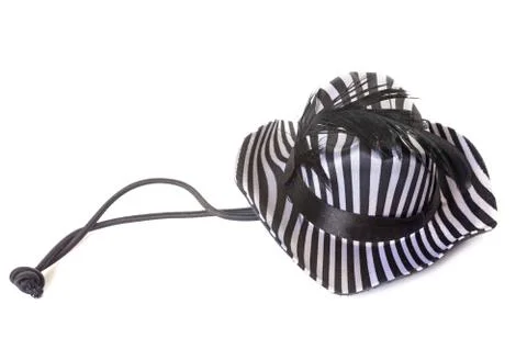 Hat for dog Stock Photos