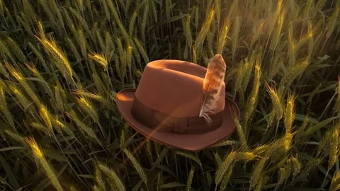 Hat with feather being placed in a barley field during sunset Stock Footage 78195840