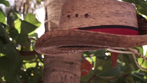 Hat with flare close up Stock Footage 128089027