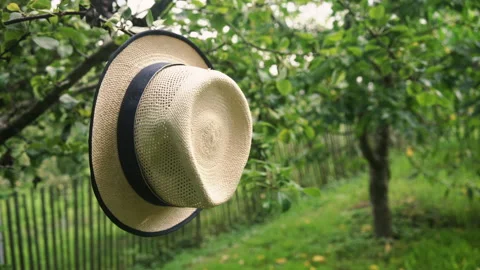 Hat Garden Stock Footage 135675723