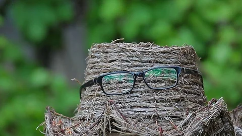 Hat glasses wind tree background nobody hd footage Video stock 108779340