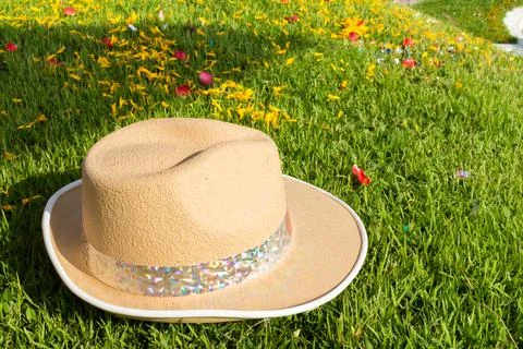 Hat on grass. lawn Stock Photos