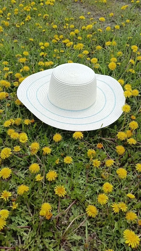 A hat on green grass with yellow dandelions Vídeo Stock 334795242