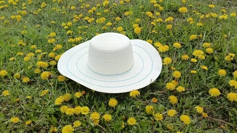 A hat on green grass with yellow dandelions Видео 334795259