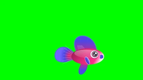 Hat Moving Isolated Green Screen Stock Video Video stock 336959055