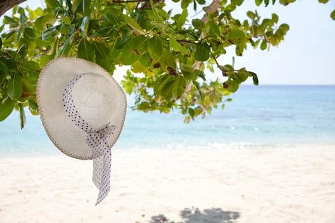 Hat on a sandy beach. White hat on a tree branch against the background of th Stock Photos