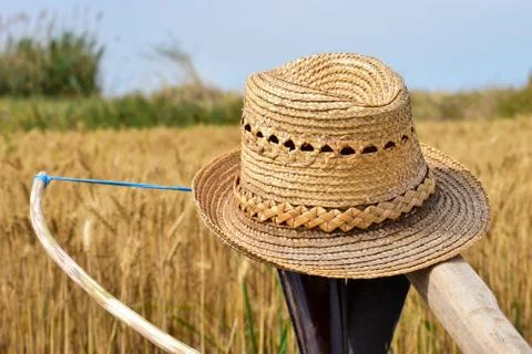The hat on a sickle on the wheatfield Stock Photos