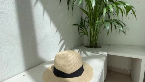 Hat on the sit next to the plant Stock Footage 276386716