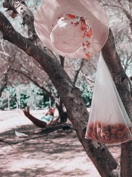 Hat Straw Hanging Tree Soft Pastel Relaxing Outdoor Leisure Scene Stockfoto's