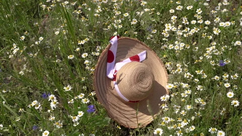 Hat. The straw hat lies in a chamomile field. Stock Footage 158193138