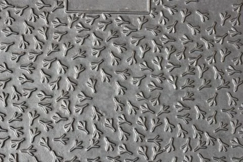 Hatch gutter pattern  decorated cover steel Stock Photos