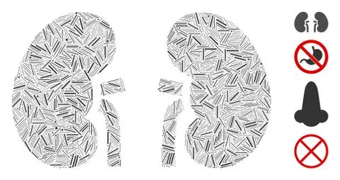 Hatch Kidneys Icon Vector Collage 스톡 일러스트