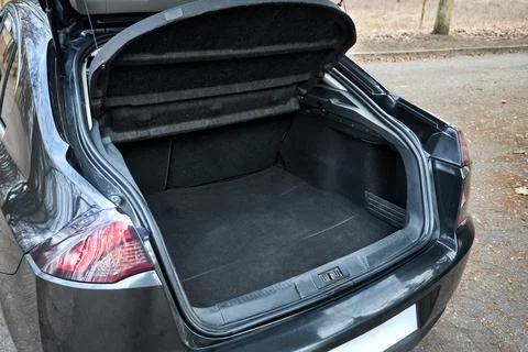 Hatchback car trunk open. Modern vehicle have opened trunk. Rear view of car Фото