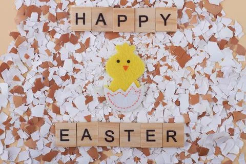 Hatched chick and pile of eggshells flat lay. Photos