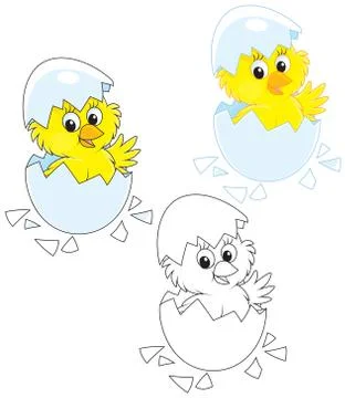 Hatched Chick Stock Illustration