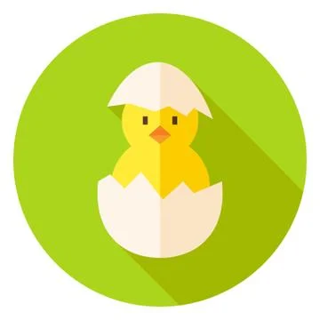 Hatched Chicken in Eggshell Circle Icon イラスト素材