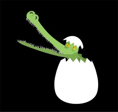 Hatched crocodile from egg isolated. Vector illustration Stock Illustration