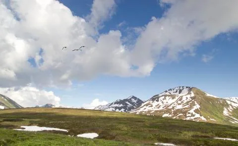 Hatcher pass in summer Stock Photos
