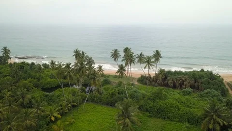 Hatchery beach Video stock 97907149