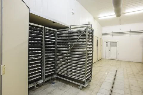 Hatchery Stock Photos