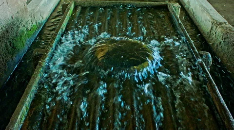 Hatchery Pump Stock Footage 56586023