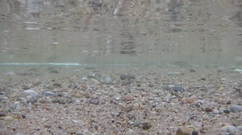 Hatches under and refraction Video stock 33651152