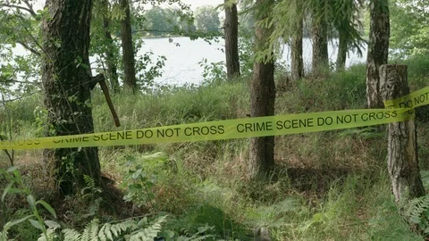 Hatchet axe left in tree trunk Yellow tape line Crime scene do not cross 4K Stock Footage 112096035
