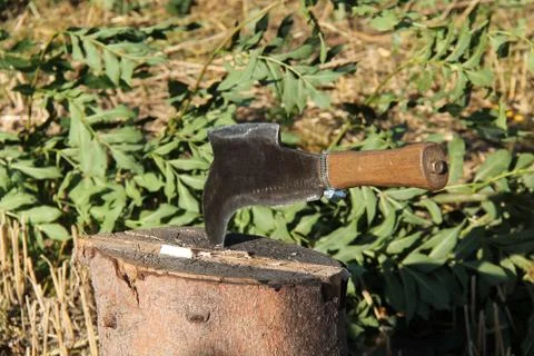 Hatchet Axe. Stock Photos
