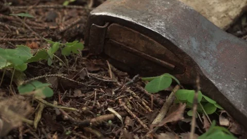 Hatchet on the ground in the wood Stock Footage 101477849
