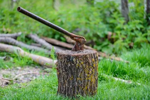 Hatchet L Фото