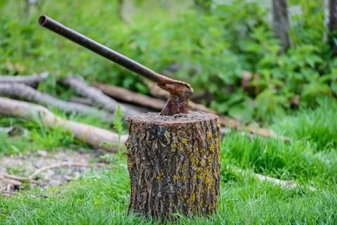 Hatchet M Фото