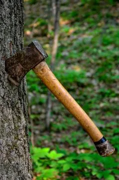 Hatchet Stuck in a Tree Foto stock