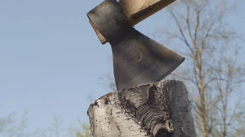 Hatchet into stump Stock Footage 58606454