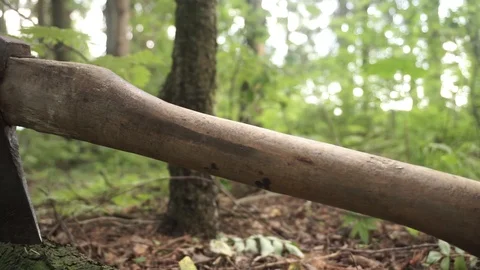 Hatchet in a tree Stock Footage 101477782