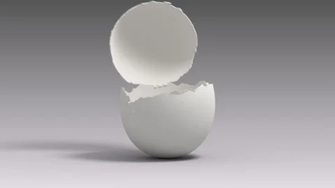 Hatching from an empty egg Video stock 311312798