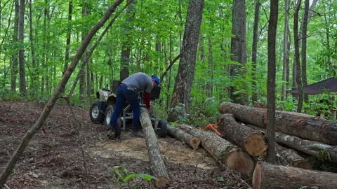 Hauling Fresh-Cut Logs Through the Woods with ATV Power Video stock 321308599