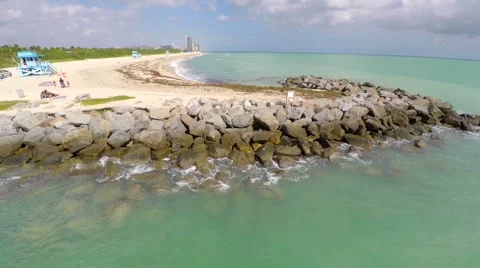 are dogs allowed at haulover beach