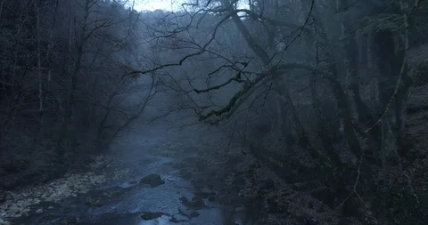 Haunted forest - Aerial 4K Stock Footage 100655648