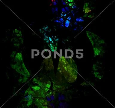 Haunted Forest Stock Illustration