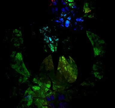 Haunted Forest Stockillustratie