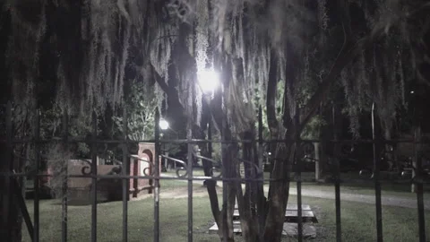 Haunted Ghost Tour 스톡 동영상 155315853