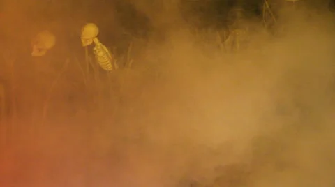 Haunted grave yard and bones Stock Footage 22105001