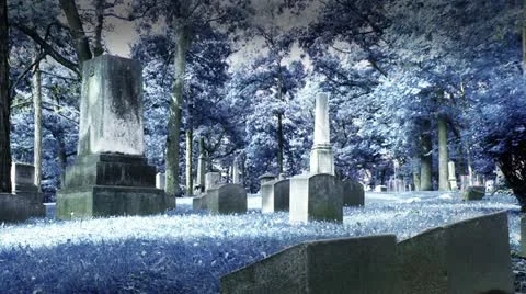 Haunted Graveyard Stock Footage 22779505
