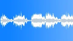 A Haunted Guitar ShopStock Music