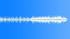 The Haunted HouseStock Music
