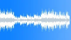 Haunted House Music Theme Stock Music